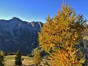 18 Festa di colori con vista in Pegherolo